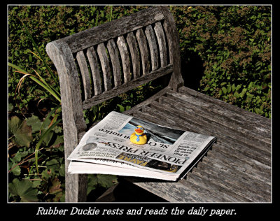 Rubber Duckie 03 09-26-07 marion.jpg