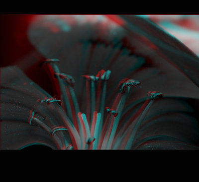 To be viewed with 3D prism glasses