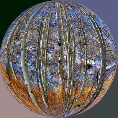 g1/97/752097/3/105247554.ekdGuUtr.jpg