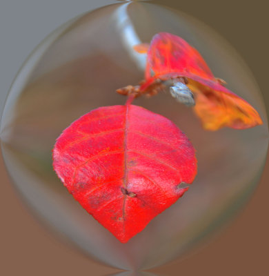 g1/97/752097/3/105248128.jbA7NXGk.jpg