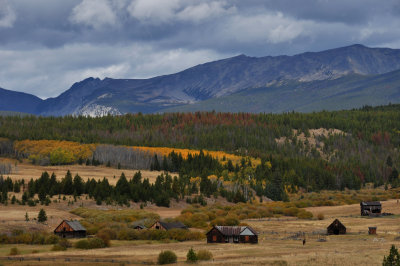 Mule Ranch 