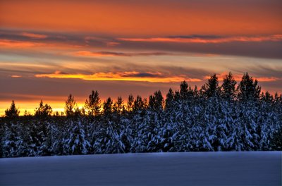 Winter's best show