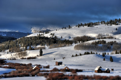 Mule Ranch, Montana