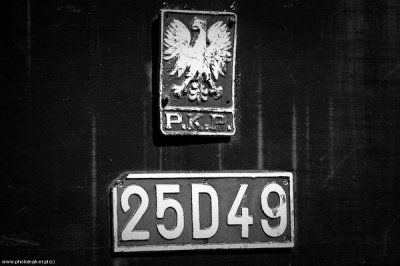 Polish railway eagle