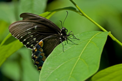 g1/97/761397/3/113325700.pHWd2OUT.jpg