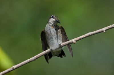 g1/97/761397/3/128888945.gQjm0ekt.jpg