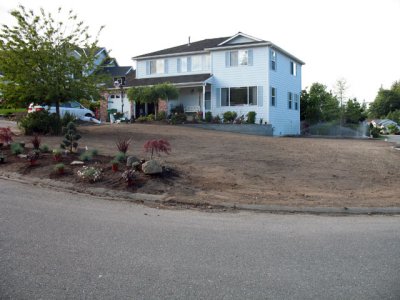 1Yard Renovation 100.jpg