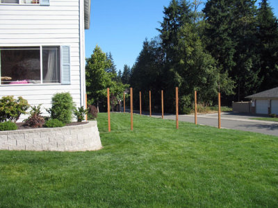 Yard is almost done 001.jpg