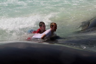 Playa-del-Carmen-280.jpg