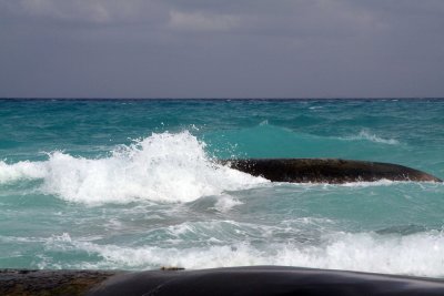 Playa-del-Carmen-527.jpg