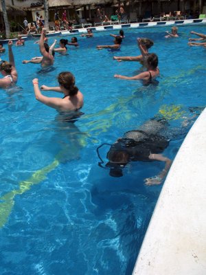 Playa-del-Carmen-798.jpg