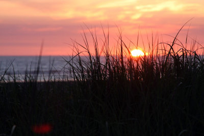 Ocean Shores 2009 129.jpg