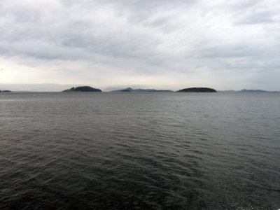 IMG_0942.JPG