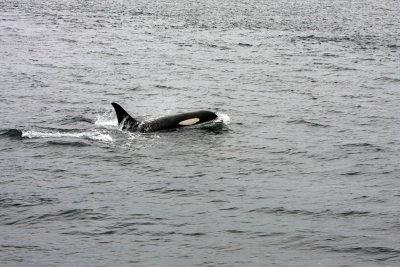 IMG_2504.JPG