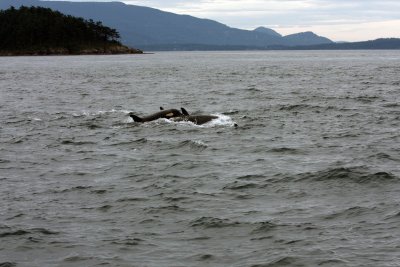 IMG_2521.JPG