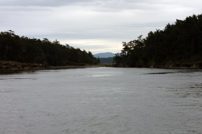 IMG_2544.JPG