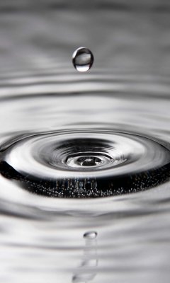 drops-21.jpg