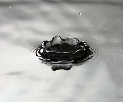 drops-22.jpg