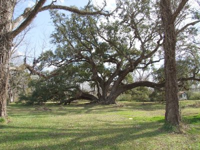 St Landry Parish - Washington - Seven Brothers