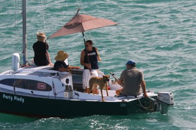 There was a variety of yachts, people and dogs on the Gulf