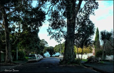 Minehaha Avenue, Takapuna, North Shore, Auckland