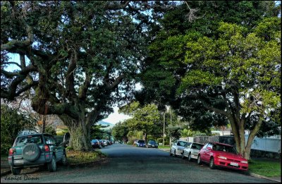 Oneils Avenue, Takapuna, North Shore, Auckland