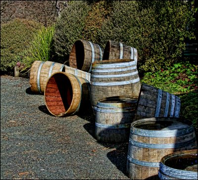 Wine barrels at Matua Valley Wines