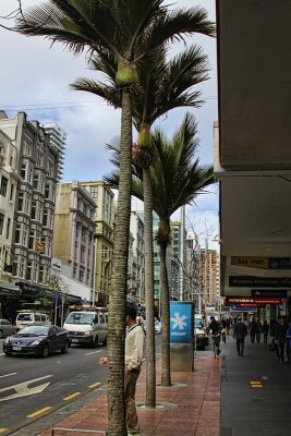 g1/97/771497/3/127950196.2i0Dyw44.jpg