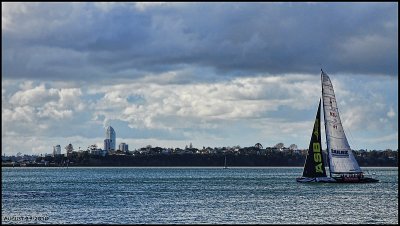 Sailing off Queen Street.jpg