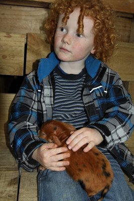 2010_09_12_768.jpg