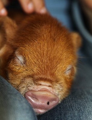 2010_09_12_756.jpg