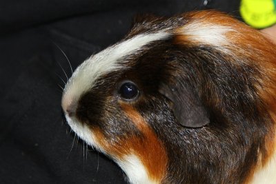 2010_09_12_758.jpg