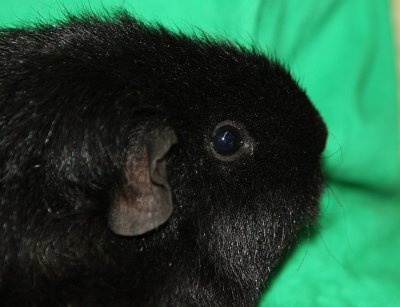 2010_09_12_759.jpg