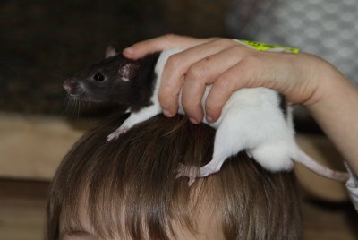 2010_09_12_771.jpg