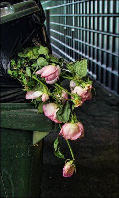 Discarded Flowers in the Trash