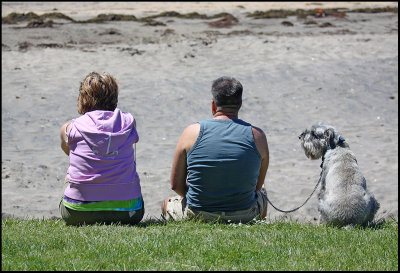 Watching the Water