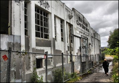 The Kaipara Co-operative Dairy Company Ruins