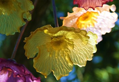 Cast Glass Poppies