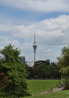 Sky Tower from the Domain