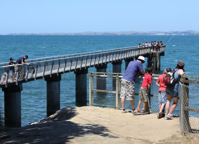 Murrays Bay Wharf