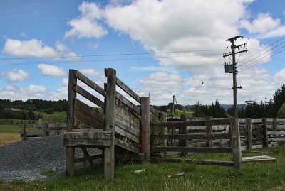 Gate 18 - Cattle Gate
