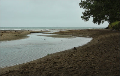 Browns Bay on a stormy day