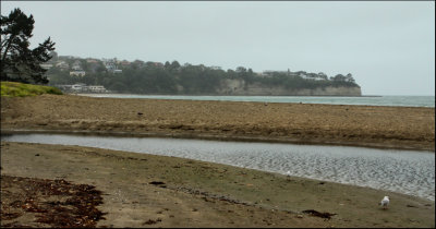 Browns Bay on a stormy day
