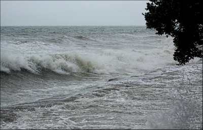 Fun at the beach on a stormy day