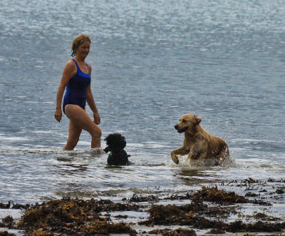 Early morning swims