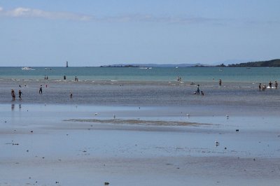 Low Tide at Cheltenham beach