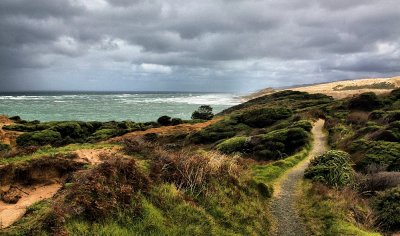 Hokianga Heads, West Coast, Northland