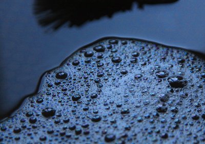 Coloured Liquid - Soap Suds