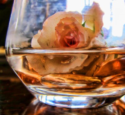 Coloured Liquid - Glassed Rose