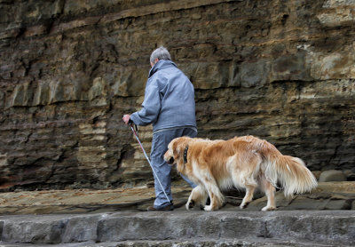 Jordan taking his owner for a walk